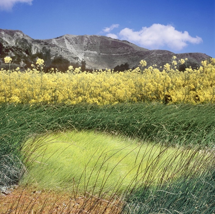 Patagônia