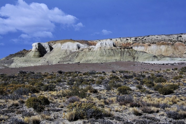 Estepe patagônica. Bosque Petrificado, Sarmiento, Estado de Chubut, Argentina<br />Foto Diana Souza 