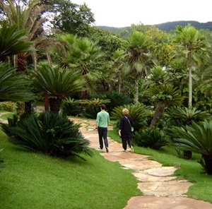 Caminhos de Inhotim<br />Foto Denise Teixeira 