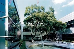 Centro de Computação Tlalpan, Migdal Arquitetos<br />Imagem dos autores do projeto 