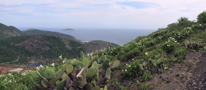 Morro do Forte do Pico, Niterói RJ<br />Foto Victor Hugo Mori 