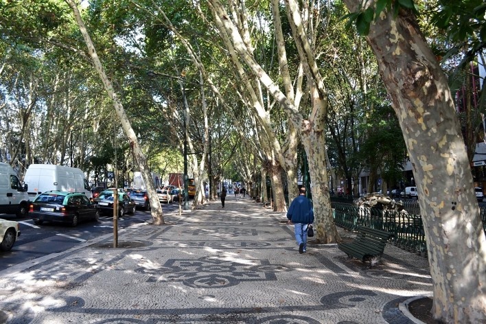 Avenida Liberdade, um dos grandes canteiros laterais, Lisboa<br />Foto Juliano Carlos Cecílio Batista Oliveira 
