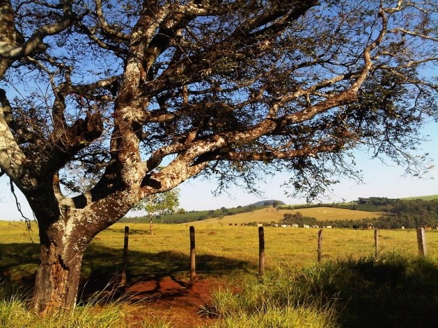 Ensaio “Paraíso escondido”<br />Foto Abilio Guerra 