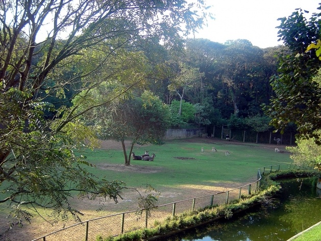 Recinto dos antílopes [Foto Glória Jafet / Zôo SP]