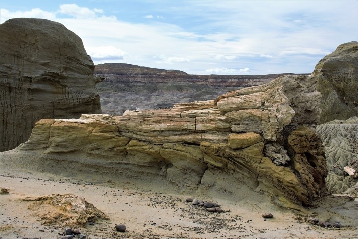 Tronco petrificado de Araucária. Bosque Petrificado, Sarmiento, Estado de Chubut, Argentina<br />Foto Diana Souza 