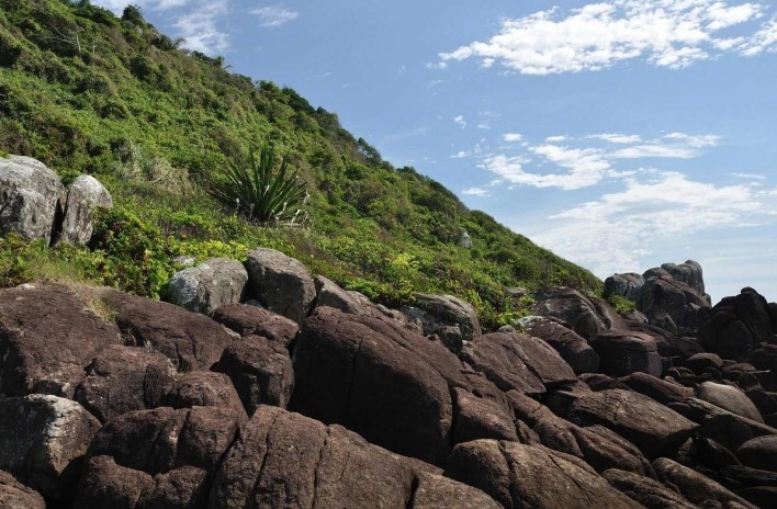 Costão da praia do Siriú, Garopaba SC<br />Foto José Tabacow 