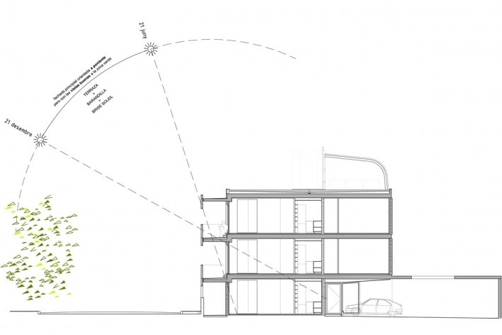 section