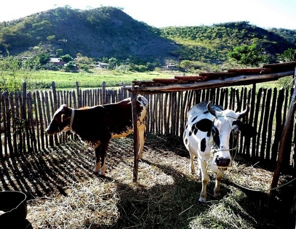Maranguape, Ceará<br />Foto José Albano 