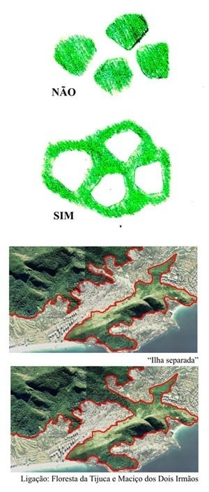 Aspectos ecológicos da área da Rocinha – proposta de recomposição da ligação entre o espaço natural do Maciço dos Dois Irmãos e a Floresta da Tijuca<br />Imagem do autor do projeto 