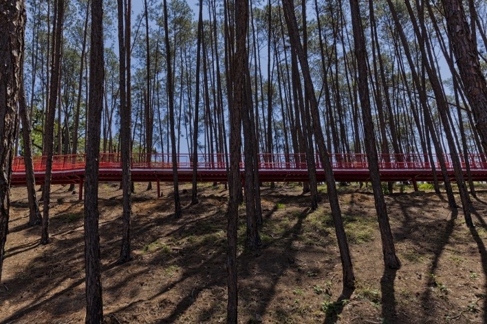 Parque Alberto Simões, Pedro Paes y Eugénio Filipe Teixeira, São José dos Campos<br />Foto divulgação 