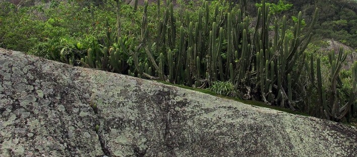 Morro do Forte do Pico, Niterói RJ<br />Foto Victor Hugo Mori 