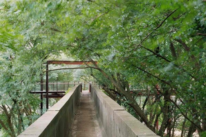 Parque da Juventude, São Paulo, 2003-2005. Paisagismo de Rosa Kliass<br />Foto Nelson Kon 