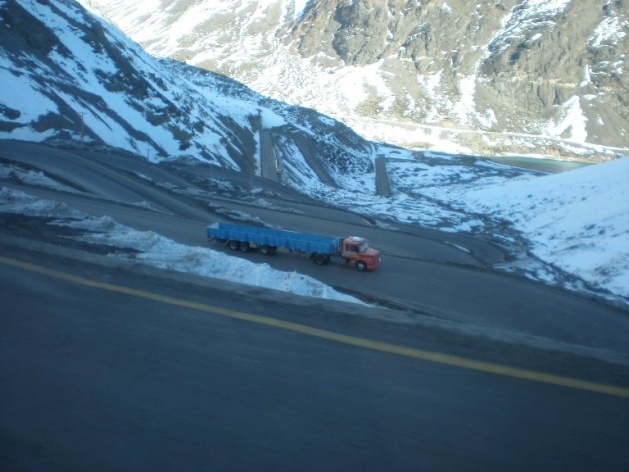 Figura 18. Andes, caracóis chilenos<br />Foto da autora / julho de 2009 