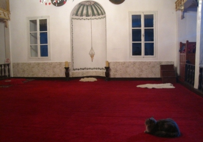 Cenas de Instambul<br />Por Felipe Arruda 