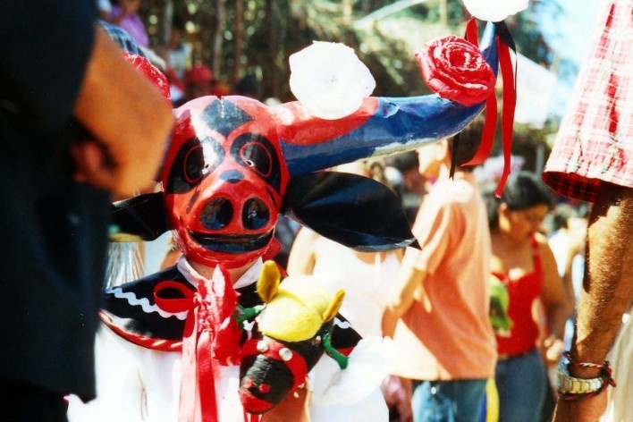 Mascaradinho com cavalo de pau<br />Foto Nádia Mendes de Moura, 2005 