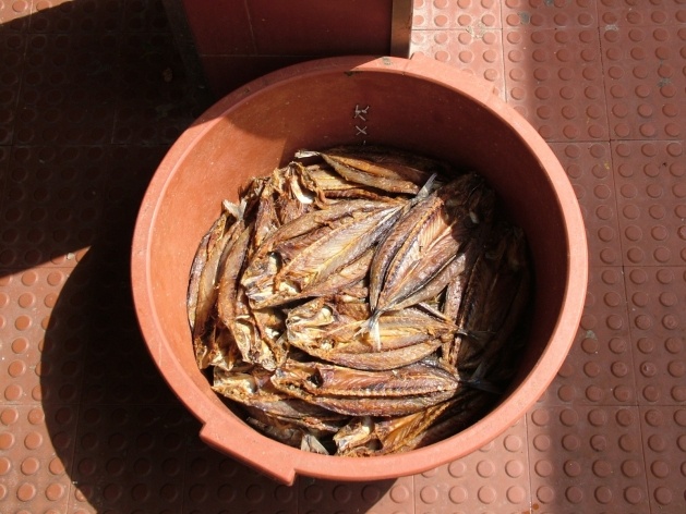 Bacia com pescado fresco<br />Foto Paula Janovitch 