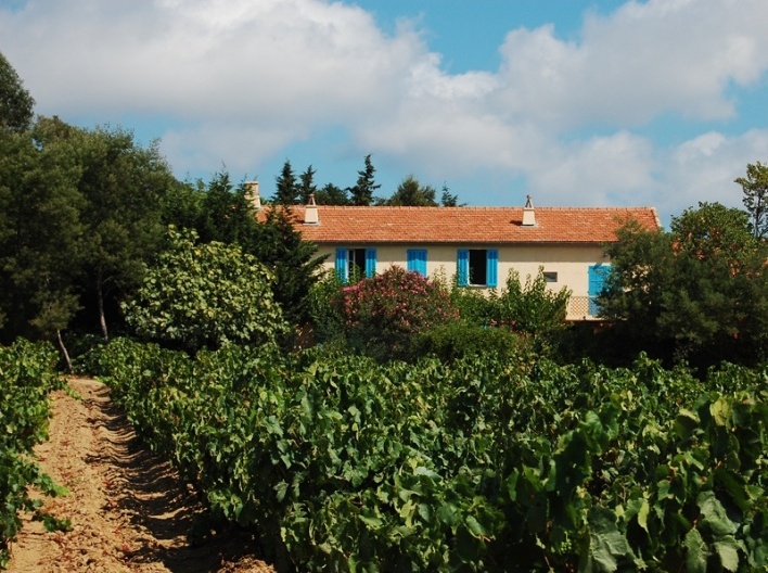 Ramatuelle<br />Foto Marcio Cotrim 