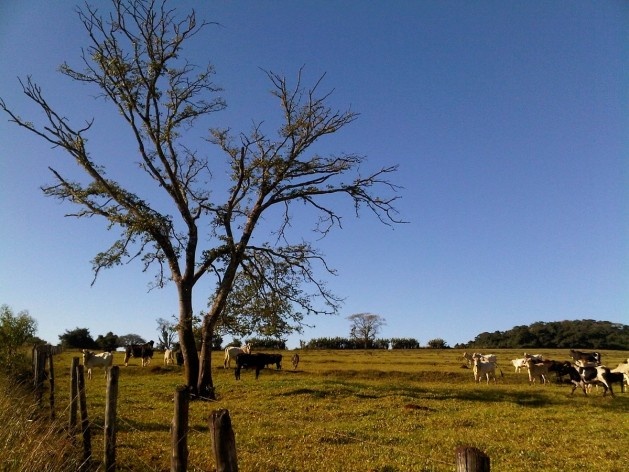 Ensaio “Paraíso escondido”<br />Foto Abilio Guerra 