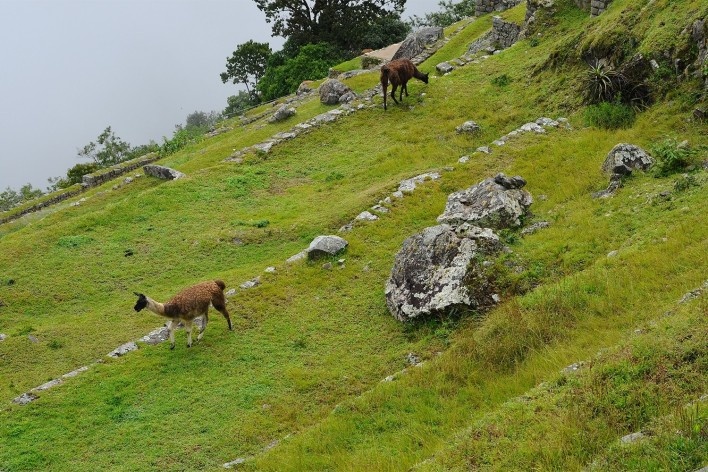 Macchu Picchu, Peru<br />Foto Juan Guerra 