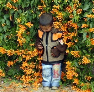 Parque nos arredores de Chandigarh<br />Foto de Denise Teixeira e Luís Barbieri 