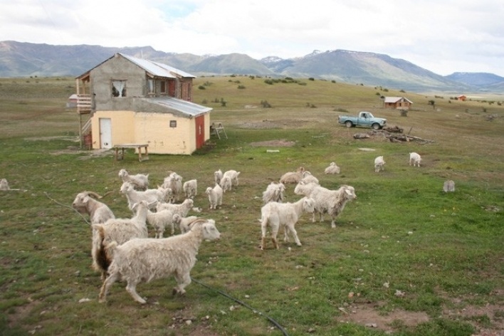 As fazendas raramente têm divisões internas, criam-se por segregação natural os animais em seus grupos. Somente o contorno externo da propriedade é cercado<br />Foto Thomas Bussius 