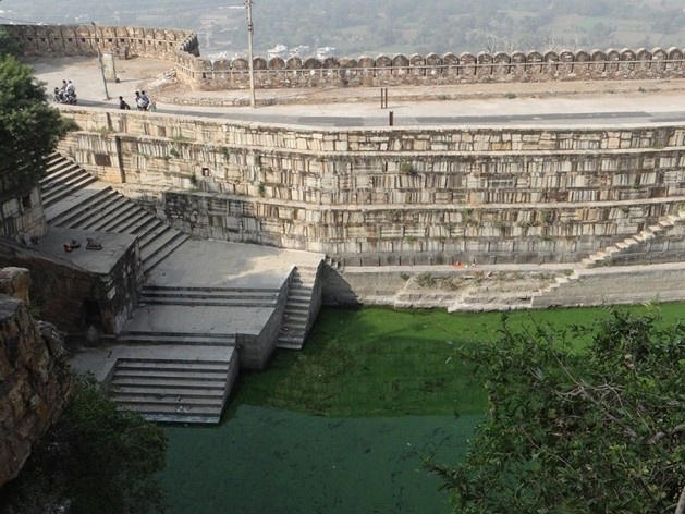 Kukdeshwar Kund em Chittorgarh (com plantas aquáticas)<br />Foto Carlos M Teixeira 