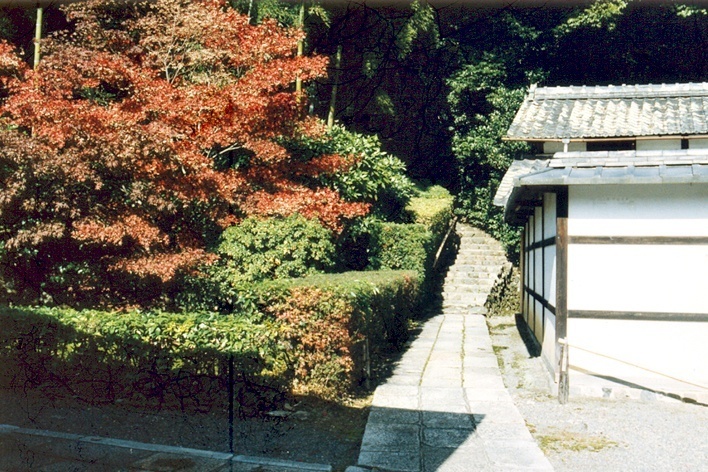 Koke-dera, o Templo dos Musgos, o caminho que leva aos musgos
<br />Foto Maria do Carmo Maciel Di Primio 