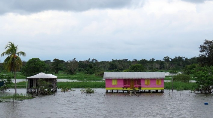 Margem do Rio Amazonas<br />Foto Eduardo Oliveira Soares, julho 2019 