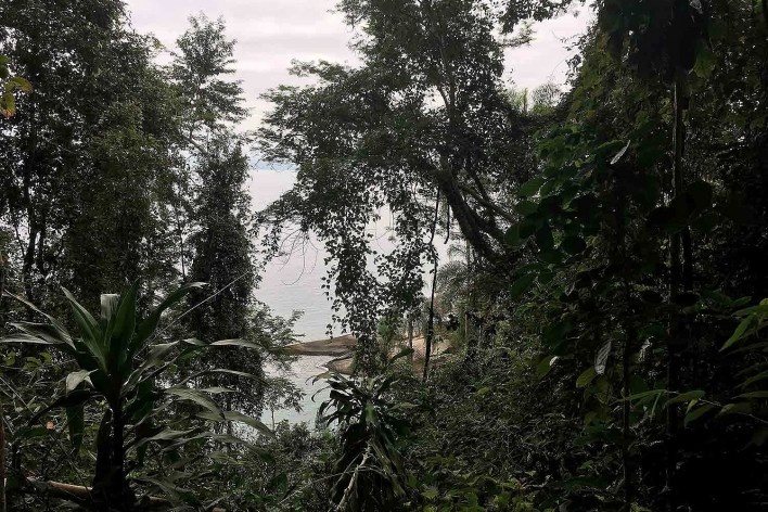 Vista de Ilha Grande<br />Foto Abilio Guerra 
