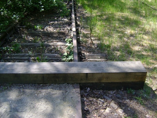 Südgelände Natur-Park, Berlim, Alemanha. Arquiteto Peter Latz<br />Foto Paloma P. de Siqueira, 08/05/11 