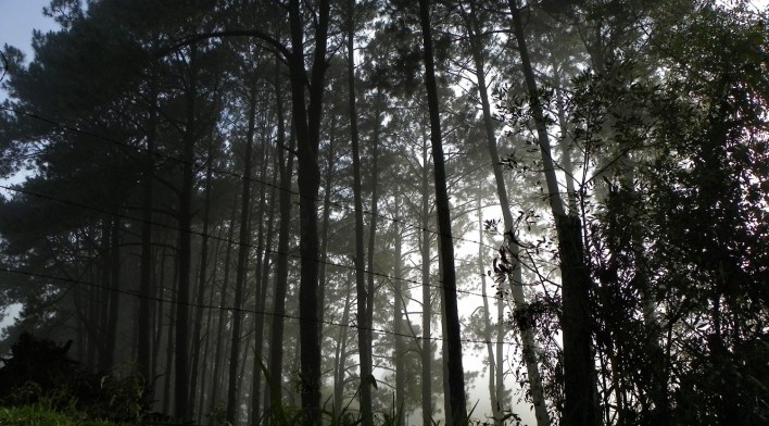 Estrada da Laranja Azeda, Atibaia SP<br />Foto Adriano de Carvalho Capeto 