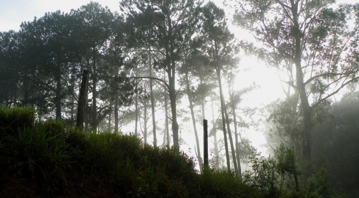 Estrada da Laranja Azeda, Atibaia SP<br />Foto Adriano de Carvalho Capeto 