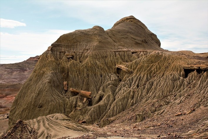 Surpresas do subsolo reveladas pela erosão. Bosque Petrificado, Sarmiento, Estado de Chubut, Argentina<br />Foto Diana Souza 