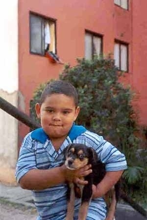 Foto 17 – Na Cohab Educandário, o menino e seu cachorro<br />Foto Flávio Higuchi 