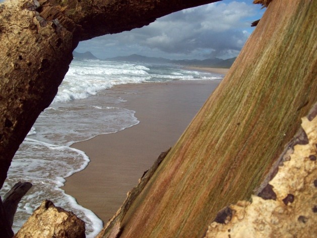 Praia da Joaquina, Florianópolis, março de 2011<br />Foto Adson Cristiano Bozzi Ramatis Lima 