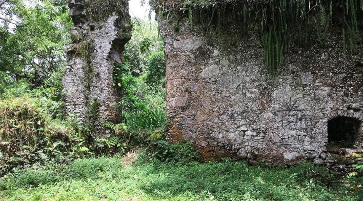 Ruínas do Engenho da Lagoinha, Ubatuba SP<br />Foto Thamara Gasch 