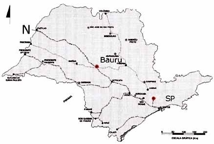 Mapa do Estado de São Paulo com estradas de ferro<br />Imagem dos autores do projeto 