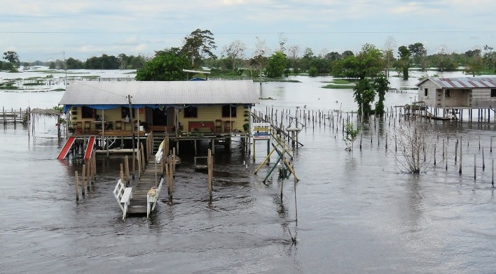 Margem do Rio Amazonas<br />Foto Eduardo Oliveira Soares, julho 2019 