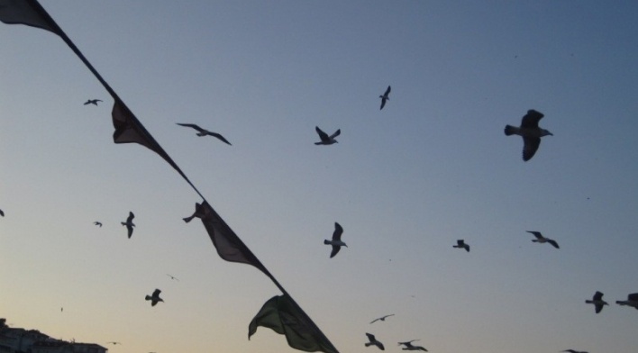 Cenas de Instambul<br />Por Felipe Arruda 