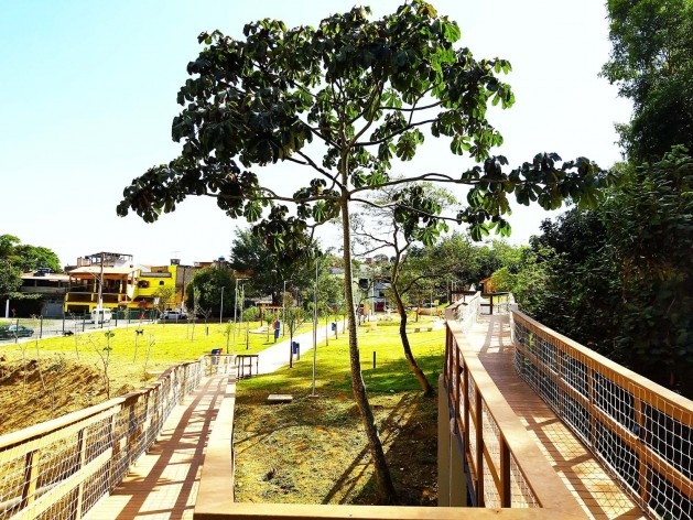 Parque Municipal Nair Bello, imagem da passarela com destaque para Embaúba, São Paulo SP Brasil, 2020. Secretaria Municipal do Verde e do Meio Ambiente<br />Foto divulgação  [Acervo SVMA/DIPO]