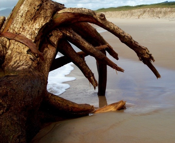 Praia da Joaquina, Florianópolis, março de 2011<br />Foto Gisela Barcellos de Souza 