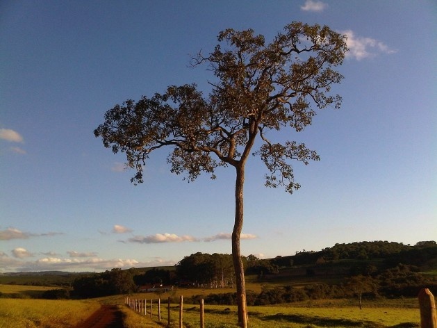 Ensaio “Paraíso escondido”<br />Foto Abilio Guerra 