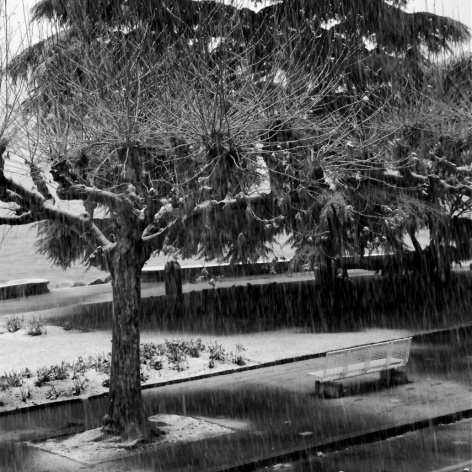 Paisagem gelada, Vevey, Suíça<br />Foto Roberto Abramovich 