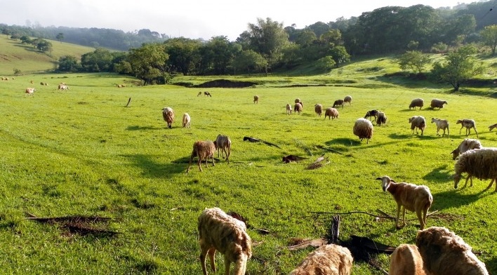 Estrada da Laranja Azeda, Atibaia SP<br />Foto Adriano de Carvalho Capeto 