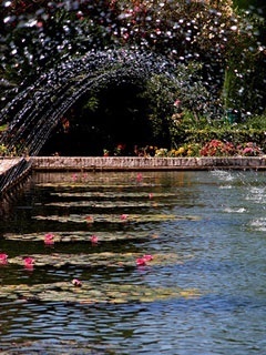Jardins do Alcázar de los Reyes Cristianos, Córdoba<br />Foto Ricardo Medrano 