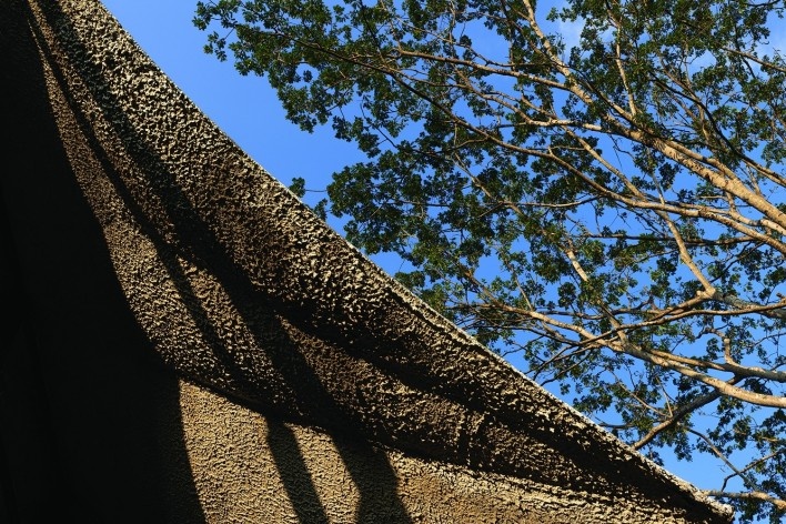 Learning Viewpoint, Cerro Blanco Protected Forest, Guayaquil, Ecuador, 2022. Architects David Barragán, Pascual Gangotena, Maríaluisa Borja and Esteban Benavides (authors) / Al Borde<br />Foto/photo Jag Studio 