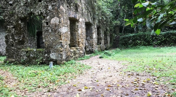 Ruínas do Engenho da Lagoinha, vista da lateral, Ubatuba SP<br />Foto Thamara Gasch 