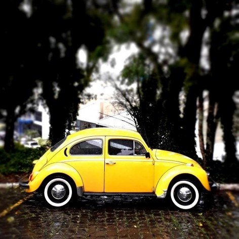 Fusca amarelo calcinha, série fotográfica “Os fuscas ofuscam”<br />Foto Fernando Mascaro 