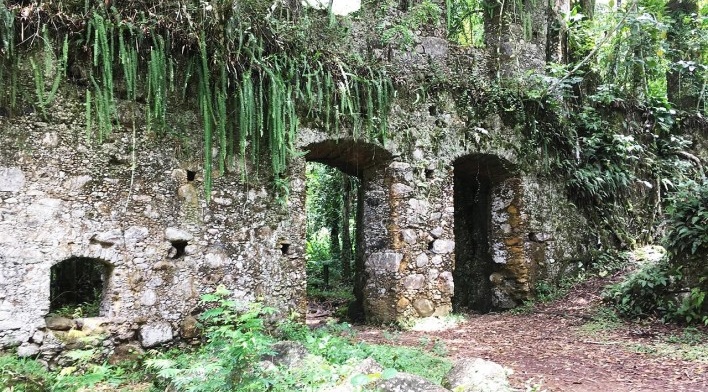 Ruínas do Engenho da Lagoinha, vista interna vãos de porta, Ubatuba SP<br />Foto Thamara Gasch 