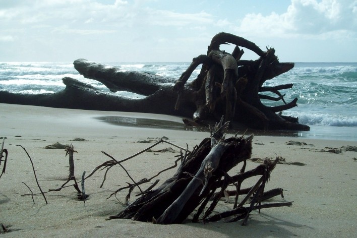 Praia da Joaquina, Florianópolis, março de 2011<br />Foto Adson Cristiano Bozzi Ramatis Lima 